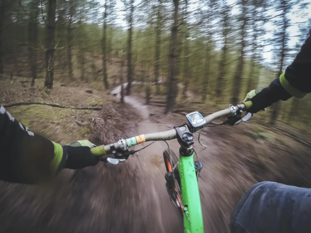 riding_bicycle_in_forest